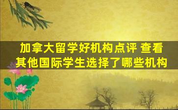 加拿大留学好机构点评 查看其他国际学生选择了哪些机构